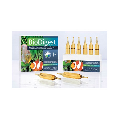 BIOCLEAN 6 fiale  (Biodigest + Bioptim)